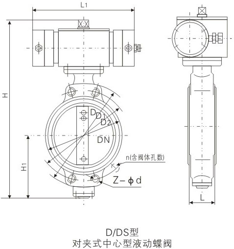 D/DS��Һ��(d��ng)��(du��)�Aʽ�о����~���y�����ߴ�
